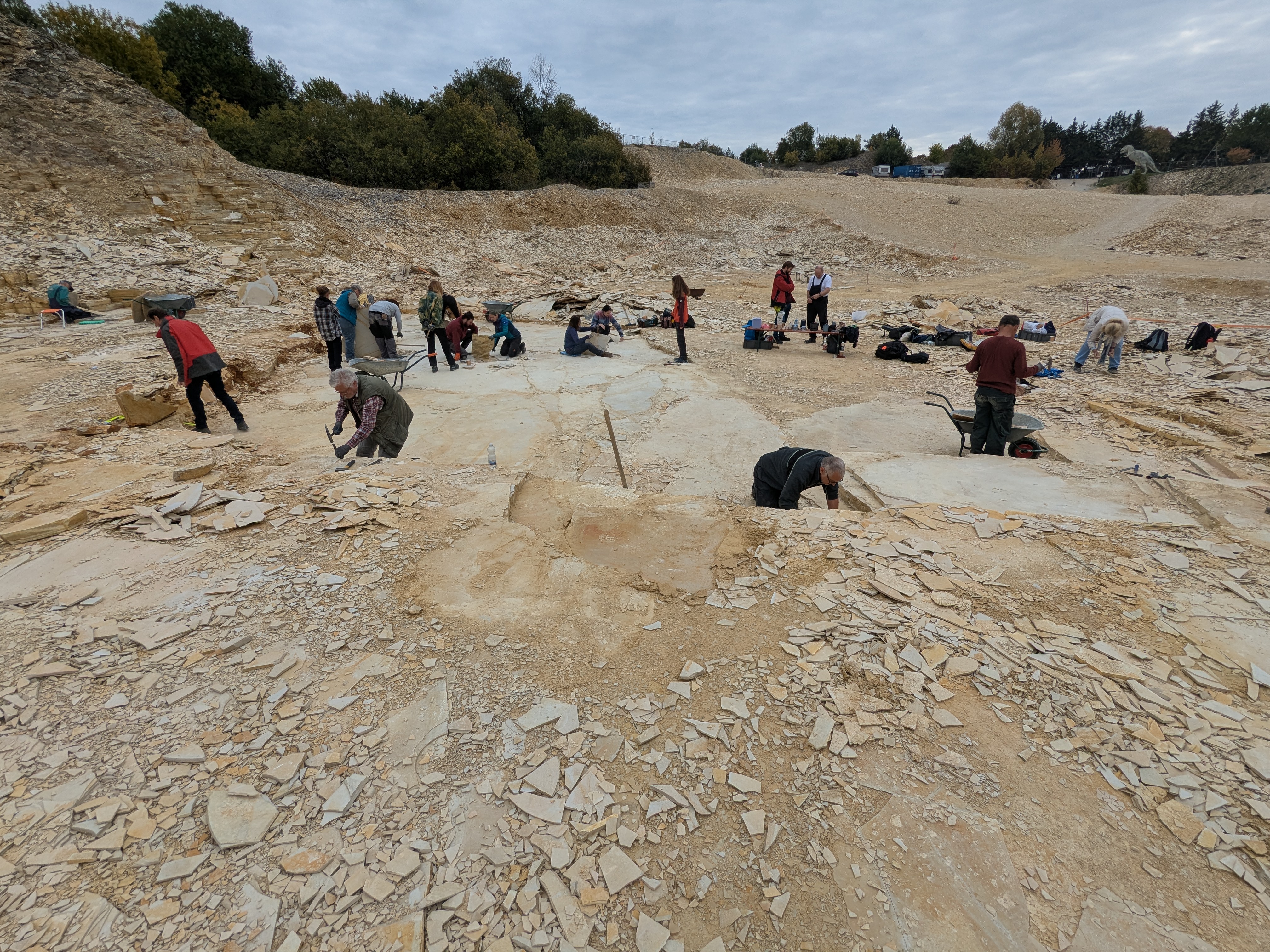 Im Profi-Bereich am Blumenberg in Solnhofen (Foto: I. Feichtinger)